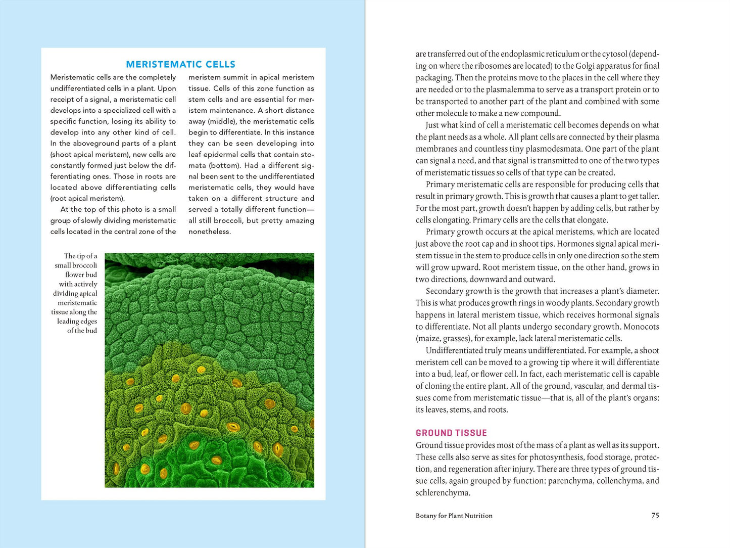 Teaming with Nutrients: The Organic Gardener?s Guide to Optimizing Plant Nutrition