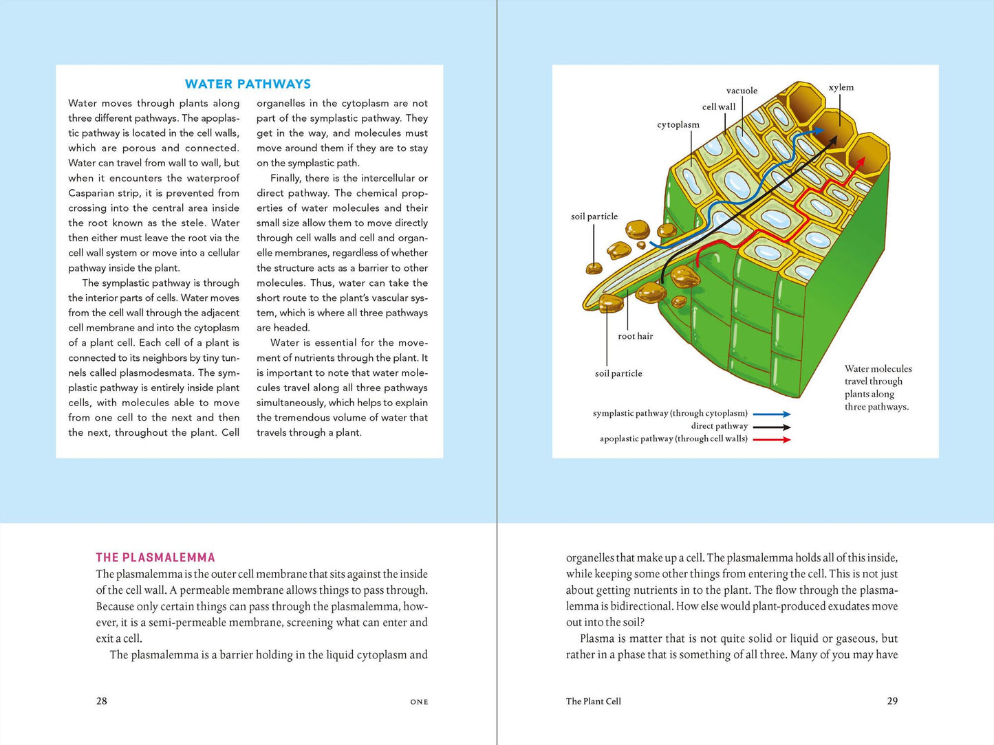 Teaming with Nutrients: The Organic Gardener?s Guide to Optimizing Plant Nutrition