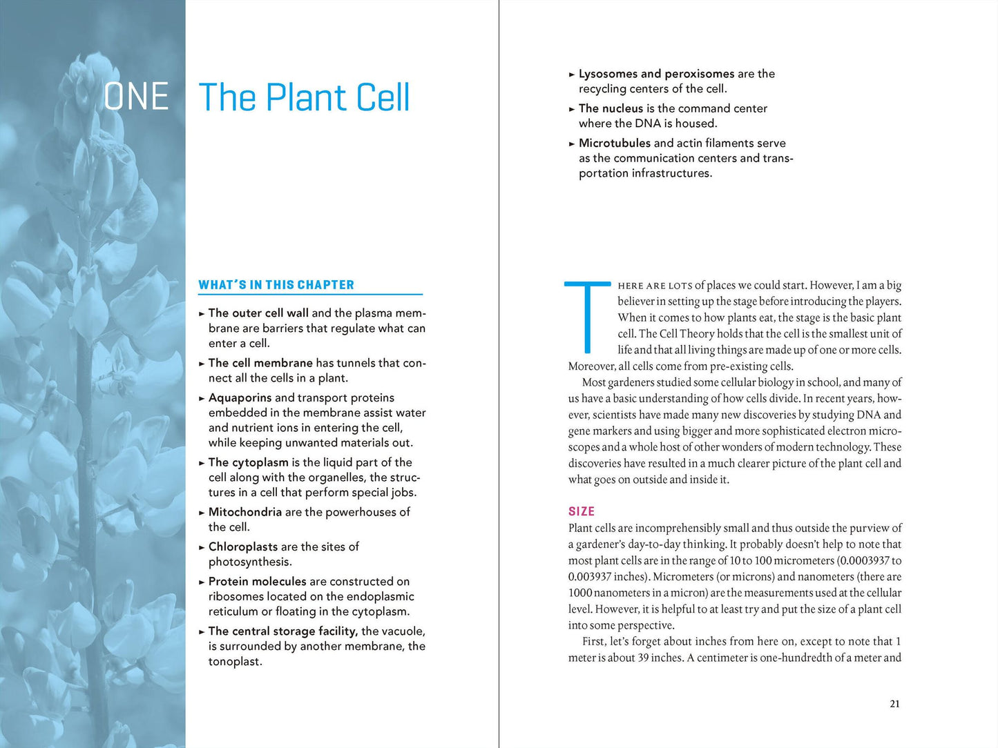 Teaming with Nutrients: The Organic Gardener?s Guide to Optimizing Plant Nutrition