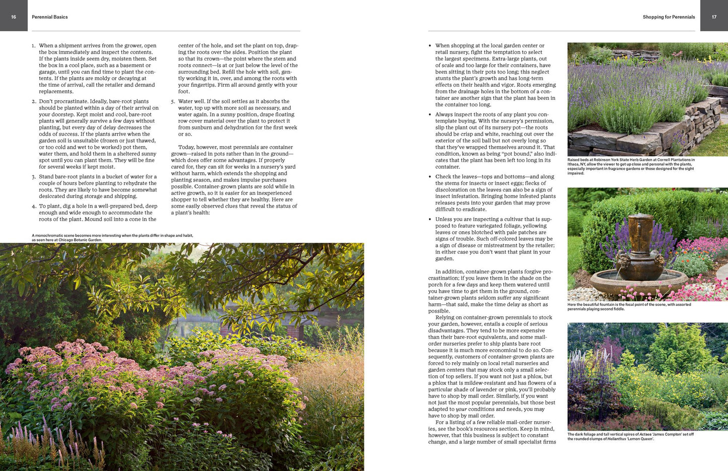 Essential Perennials: The Complete Reference to 2700 Perennials for the Home Garden