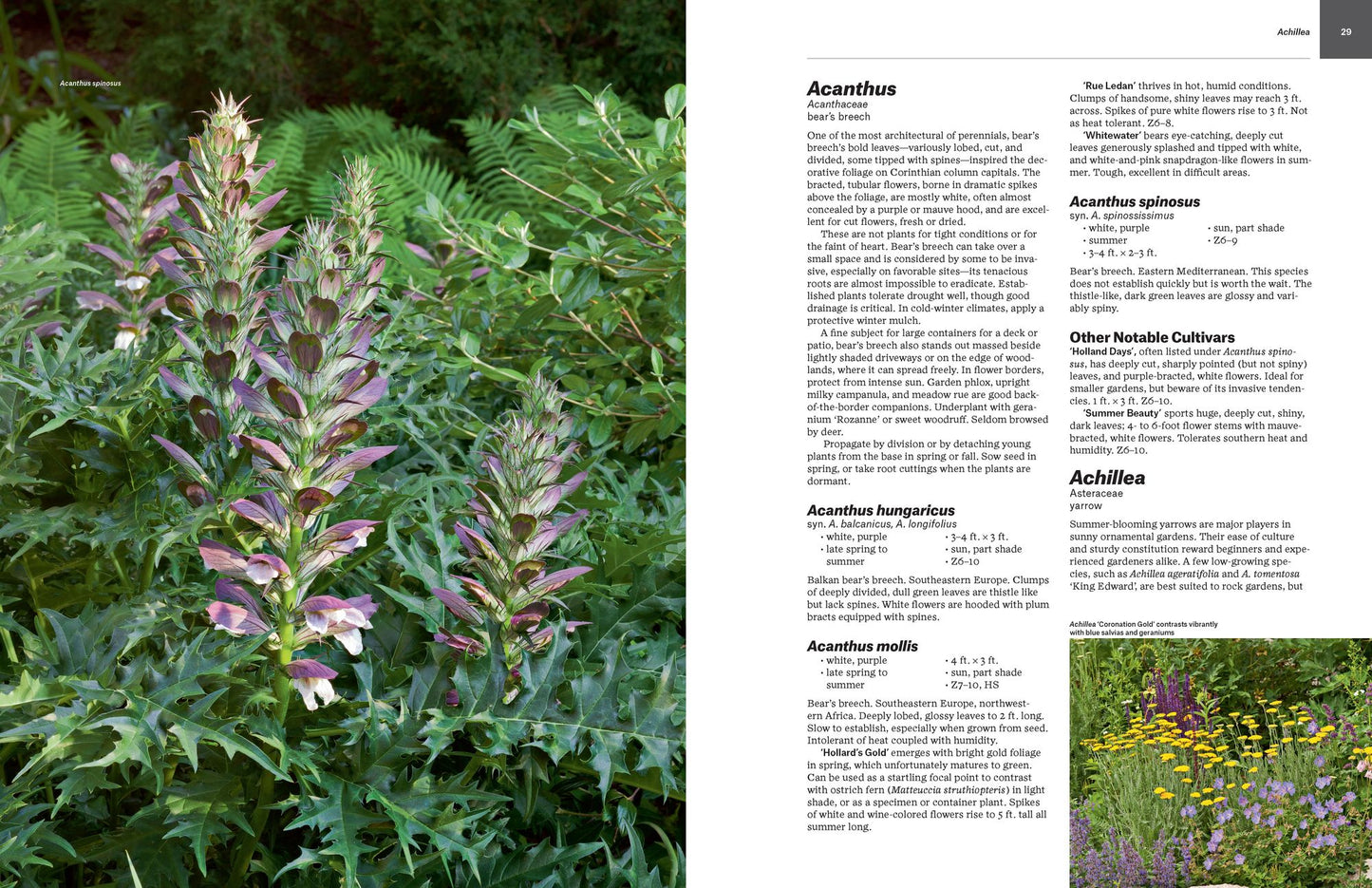 Essential Perennials: The Complete Reference to 2700 Perennials for the Home Garden