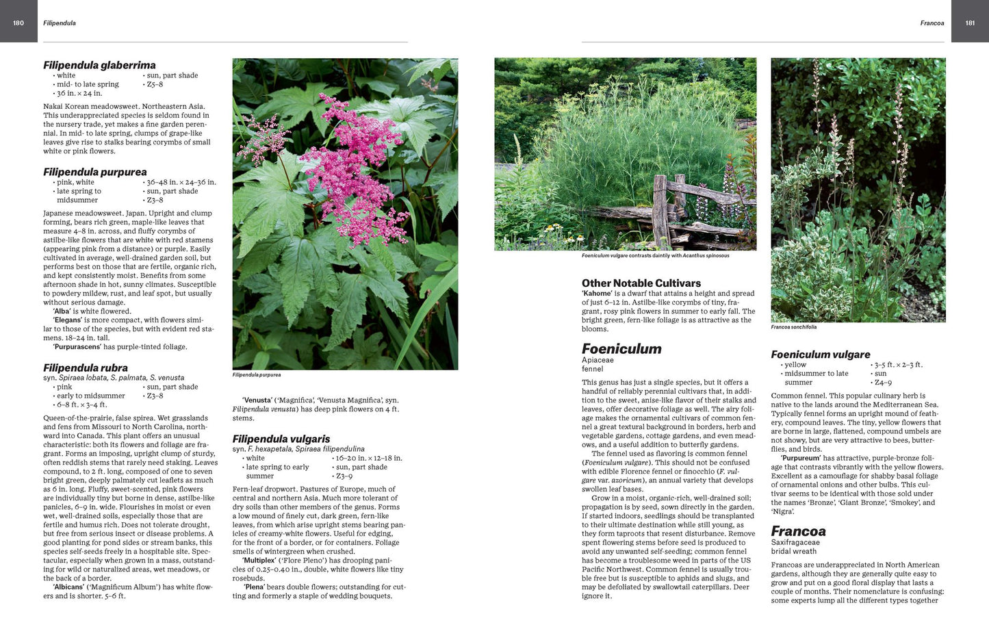 Essential Perennials: The Complete Reference to 2700 Perennials for the Home Garden