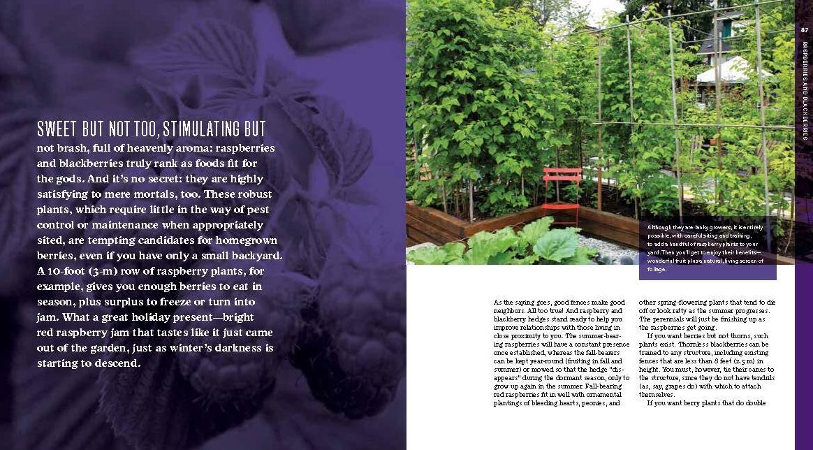Homegrown Berries: Successfully Grow Your Own Strawberries, Raspberries, Blueberries, Blackberries, and More