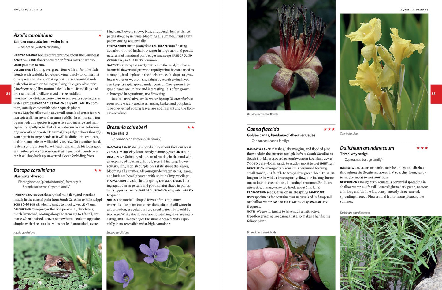 Native Plants of the Southeast: A Comprehensive Guide to the Best 460 Species for the Garden