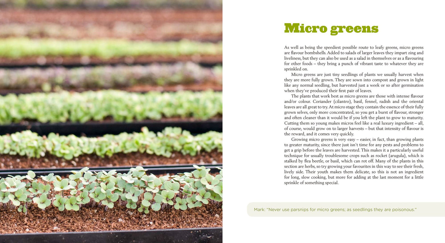 The Speedy Vegetable Garden