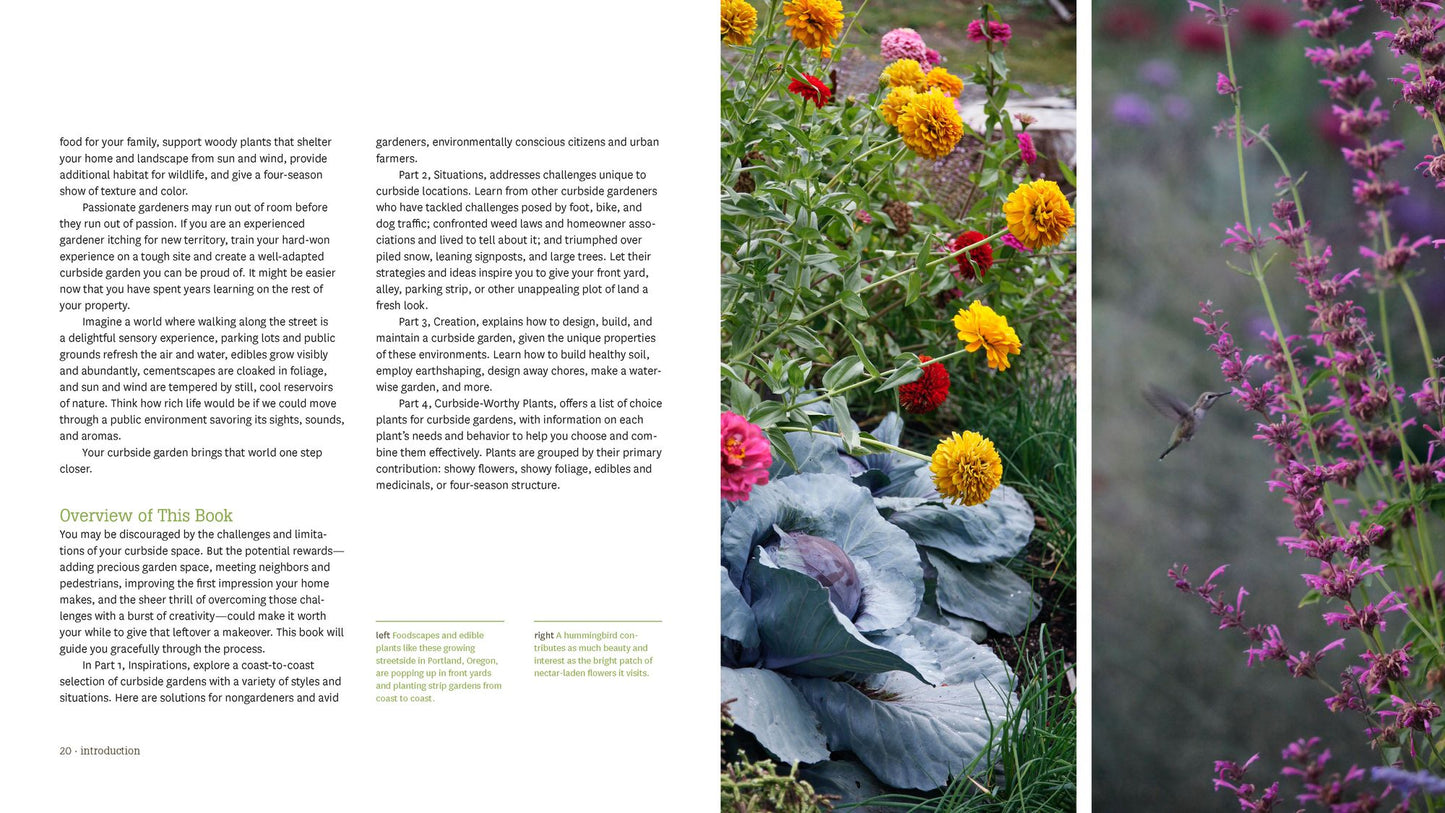 Hellstrip Gardening: Create a Paradise between the Sidewalk and the Curb