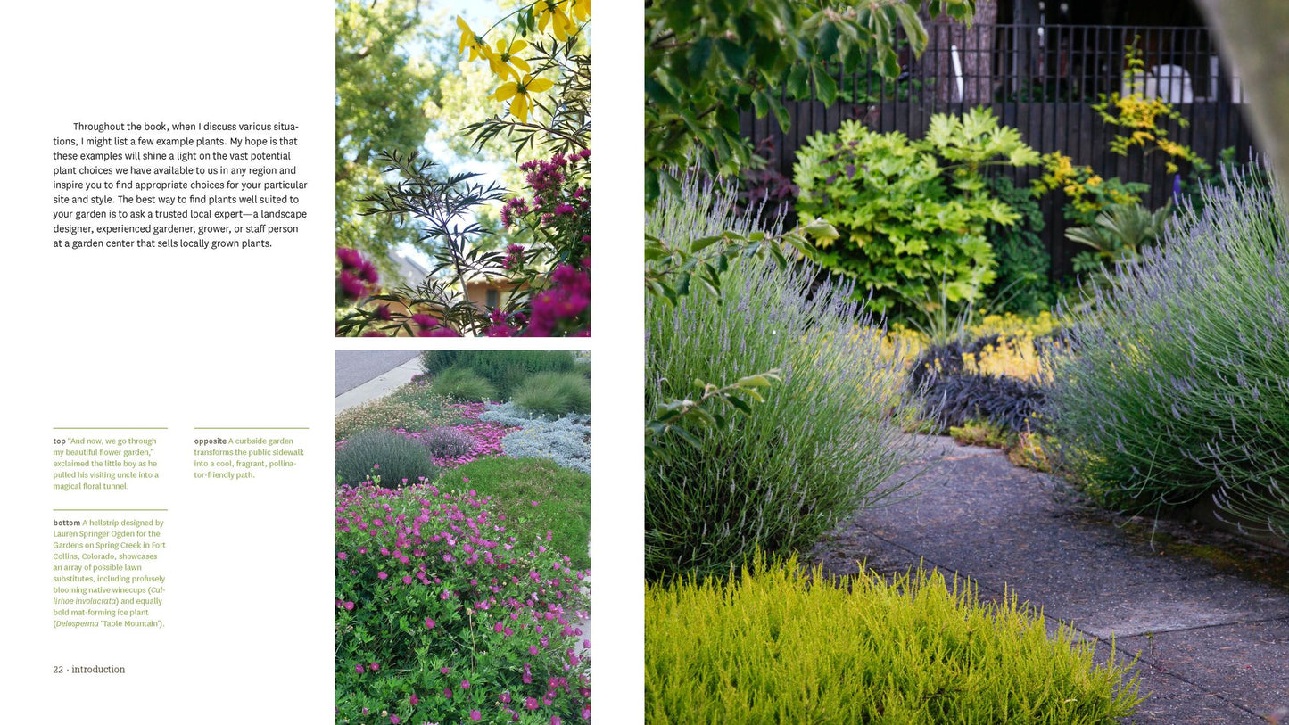Hellstrip Gardening: Create a Paradise between the Sidewalk and the Curb