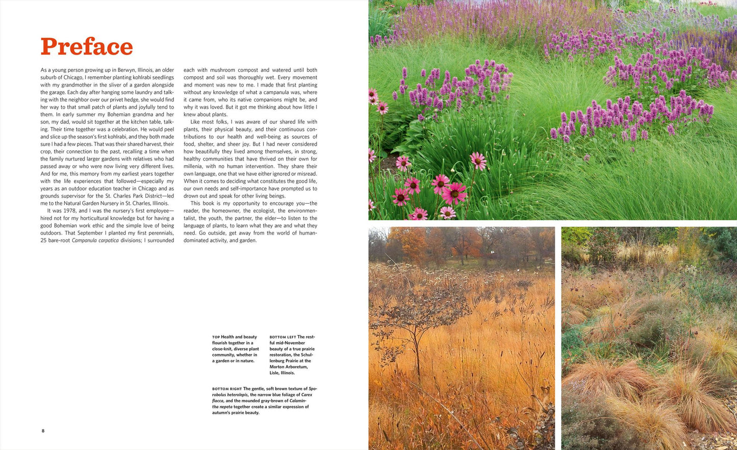 The Know Maintenance Perennial Garden