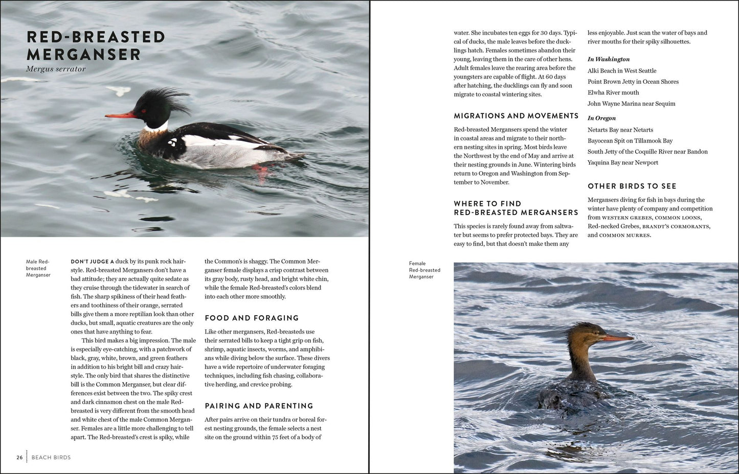 Must-See Birds of the Pacific Northwest: 85 Unforgettable Species, Their Fascinating Lives, and How to Find Them
