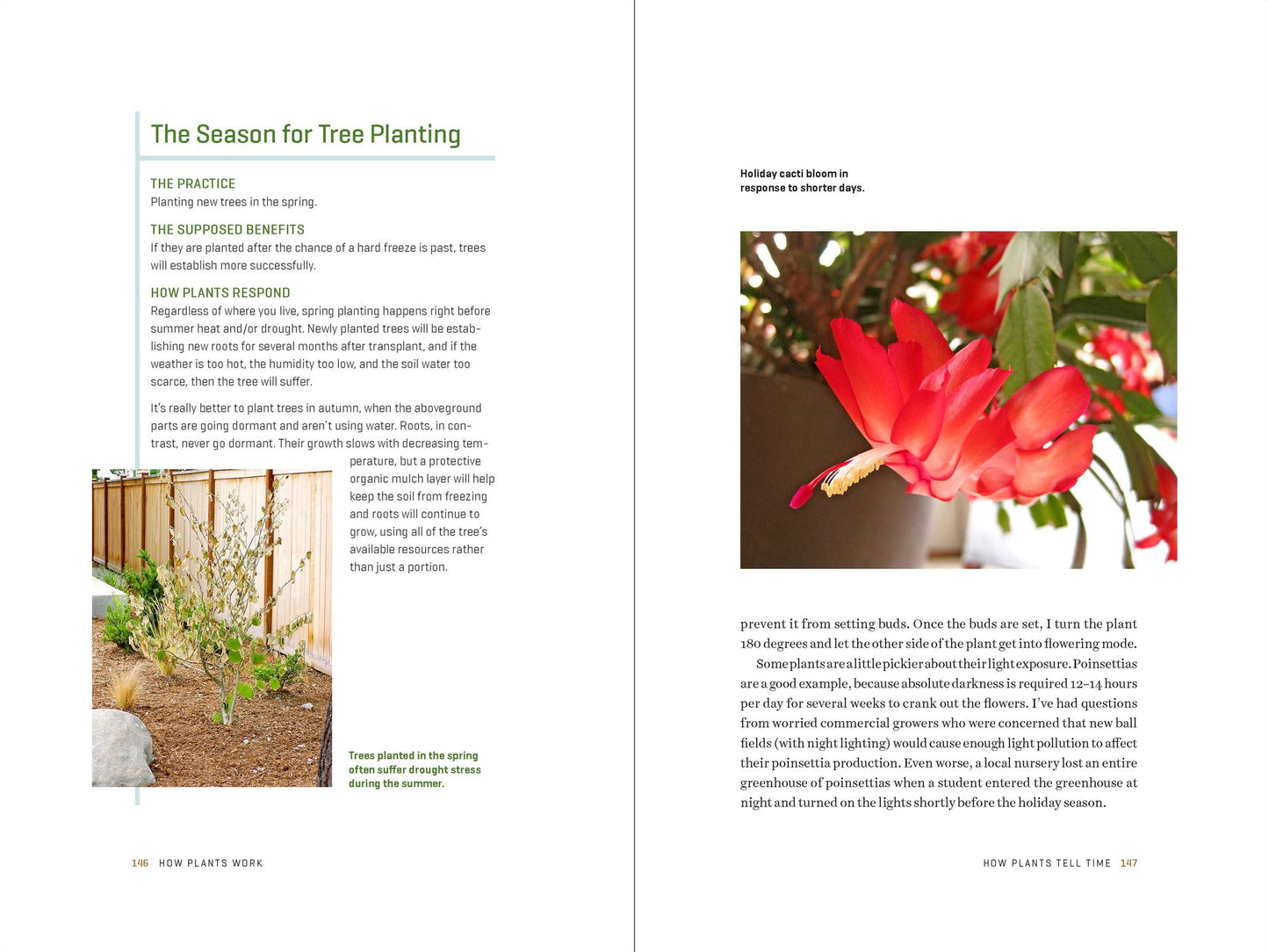 How Plants Work: The Science Behind the Amazing Things Plants Do