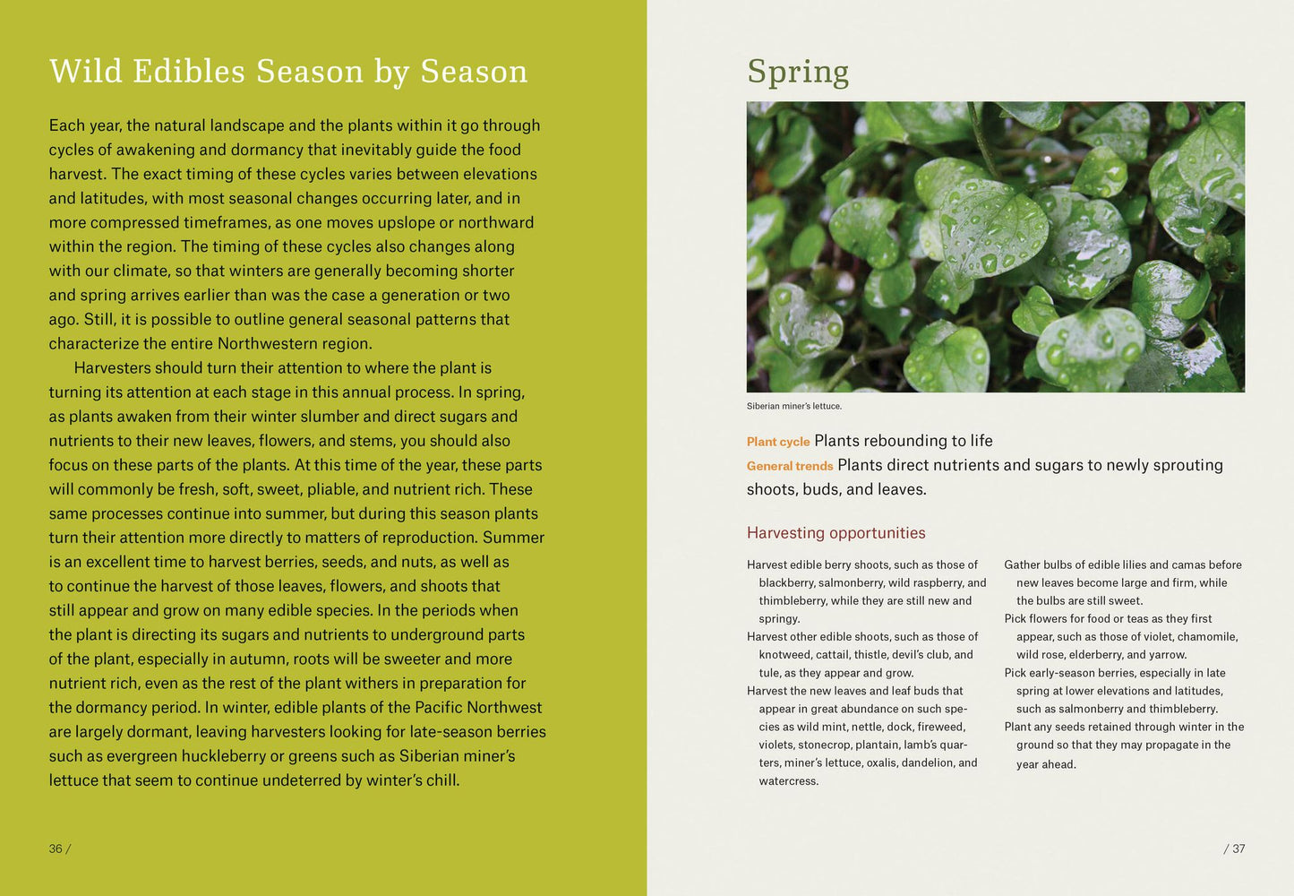 Pacific Northwest Foraging: 120 Wild and Flavorful Edibles from Alaska Blueberries to Wild Hazelnuts