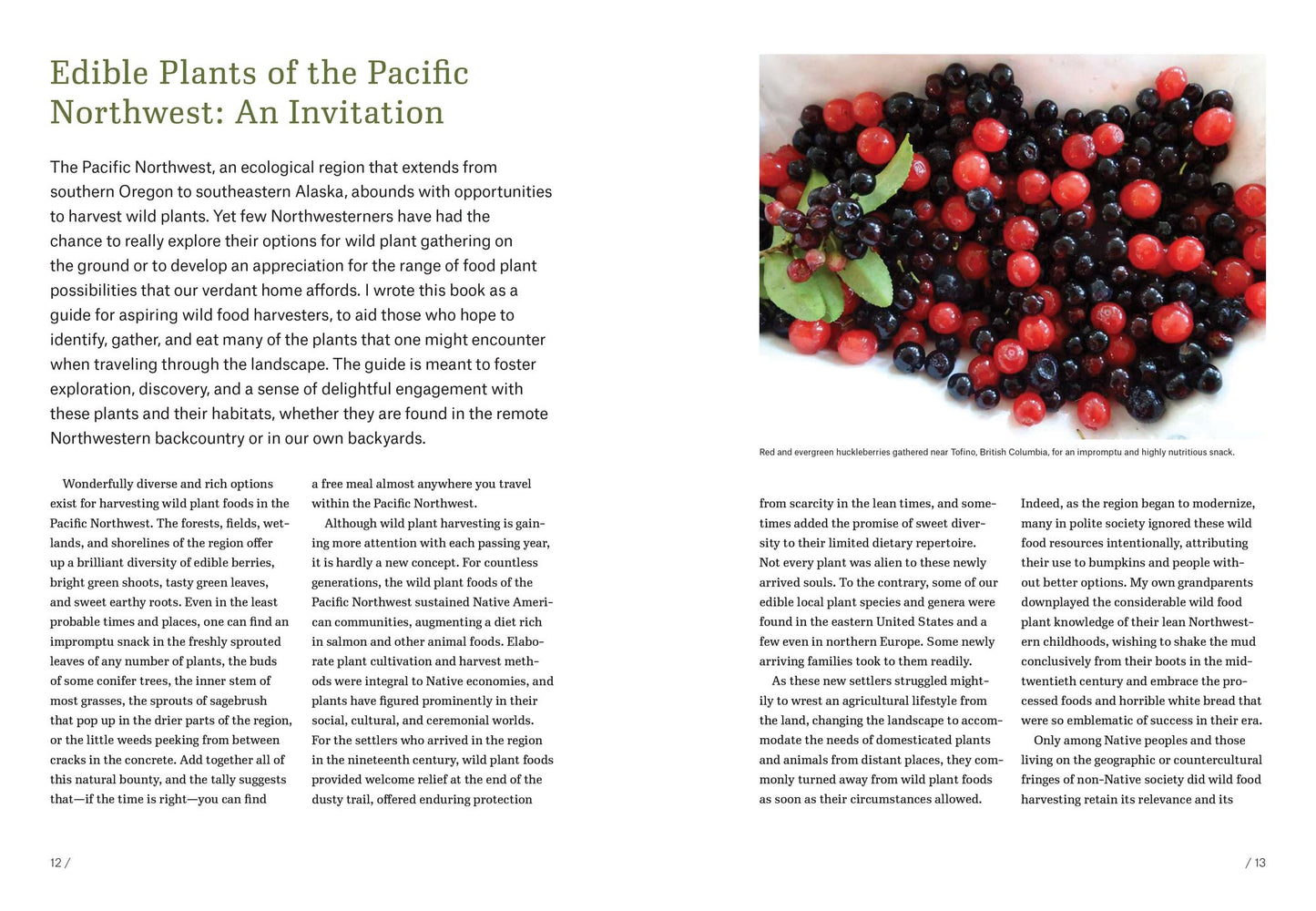 Pacific Northwest Foraging: 120 Wild and Flavorful Edibles from Alaska Blueberries to Wild Hazelnuts