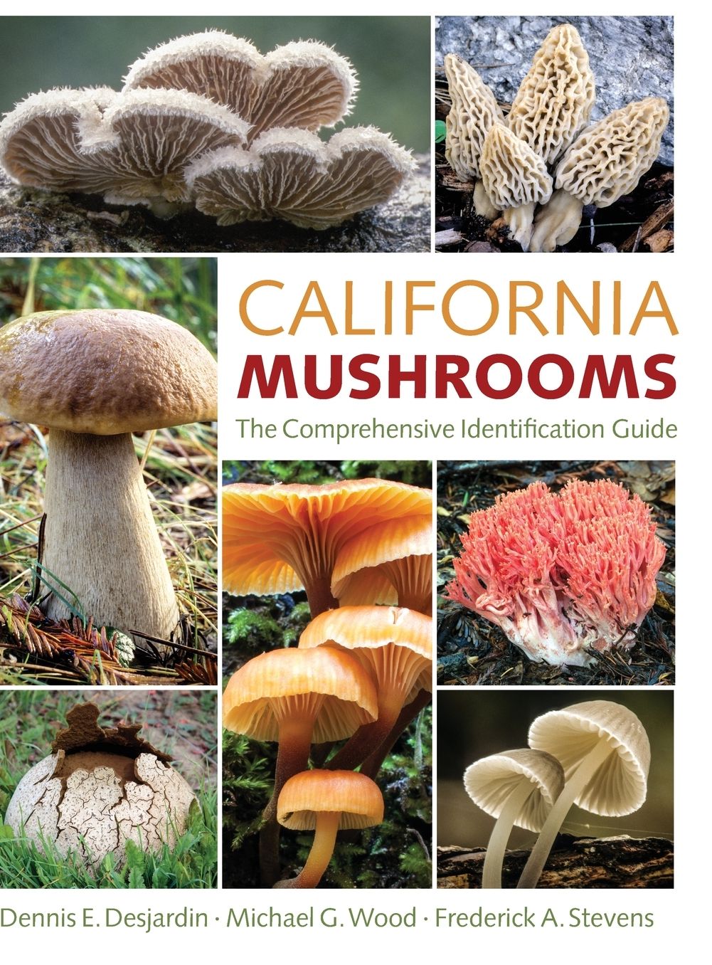 California Mushrooms: The Comprehensive Identification Guide