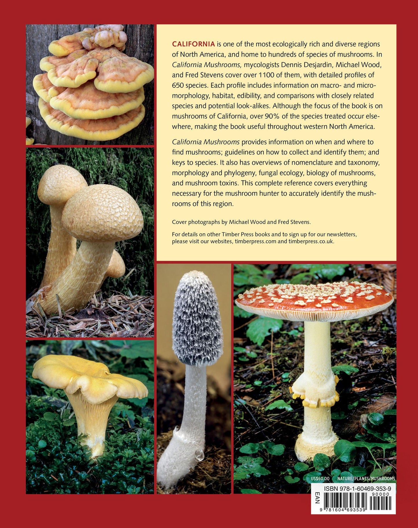 California Mushrooms: The Comprehensive Identification Guide