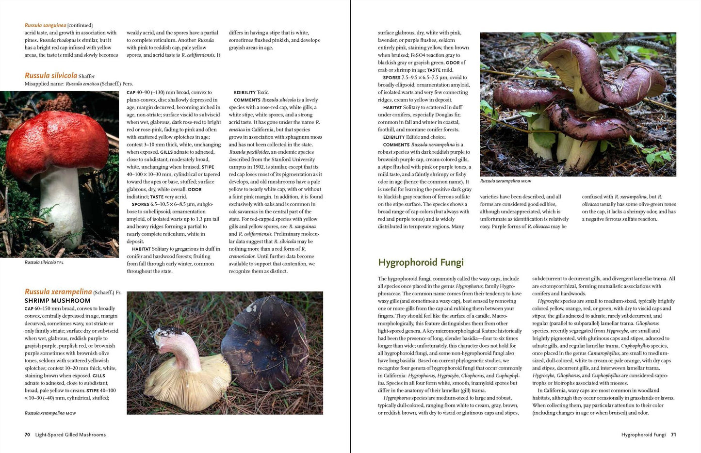 California Mushrooms: The Comprehensive Identification Guide