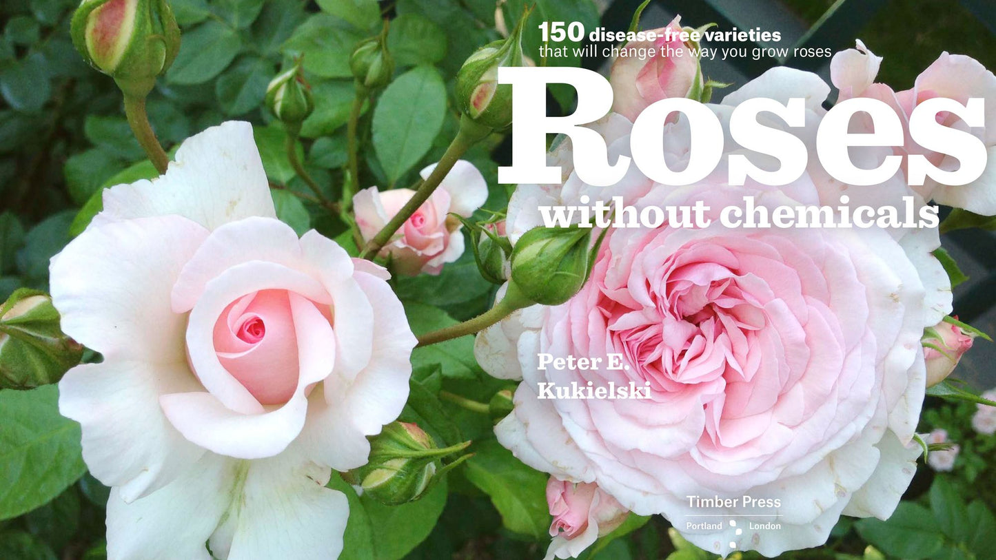 Roses Without Chemicals: 150 Disease-Free Varieties That Will Change the Way You Grow Roses
