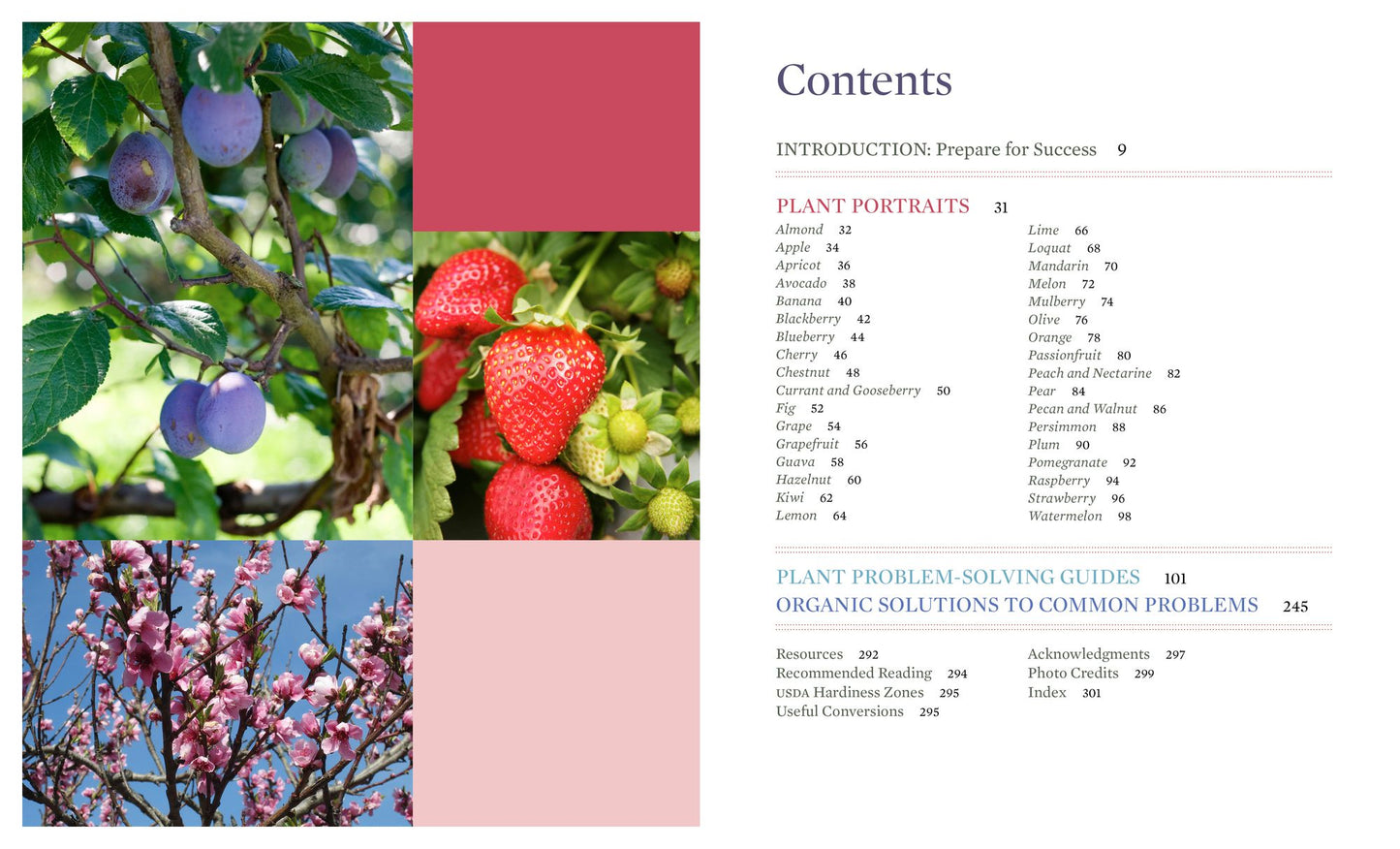What's Wrong With My Fruit Garden?: 100% Organic Solutions for Berries, Trees, Nuts, Vines, and Tropicals