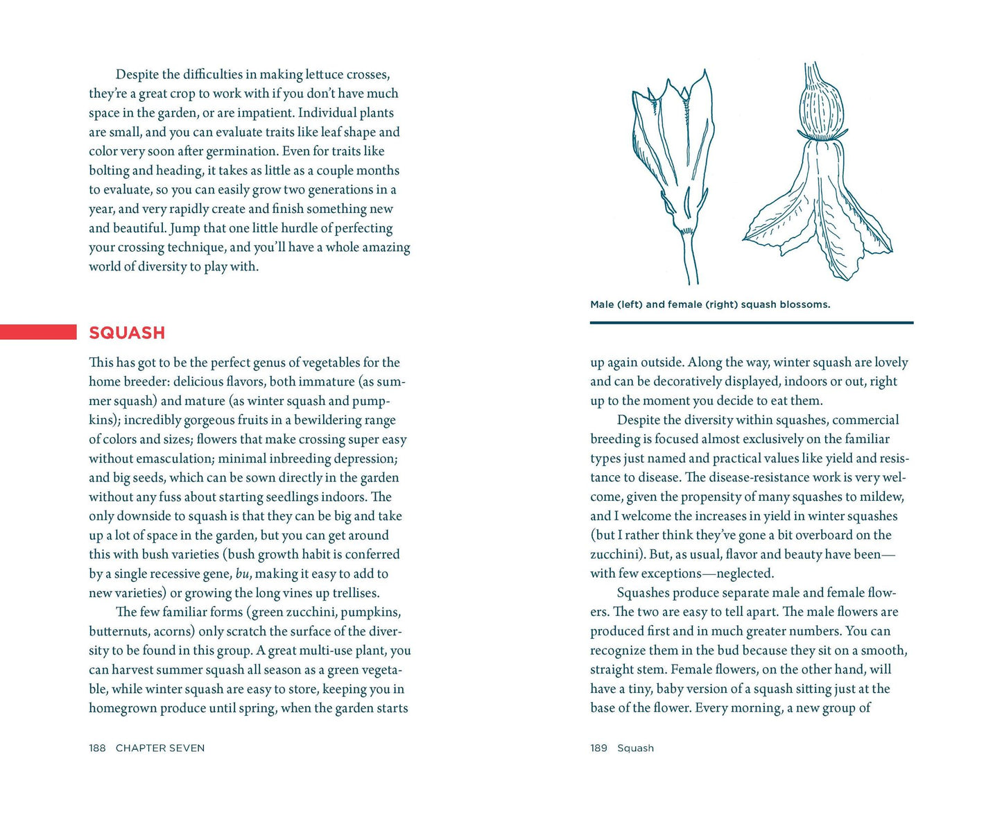 Plant Breeding for the Home Gardener: How to Create Unique Vegetables and Flowers