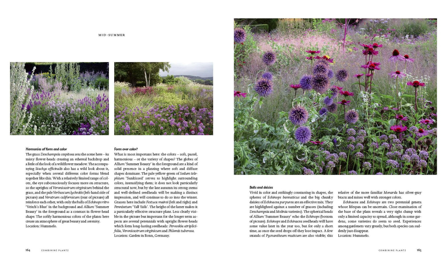 Planting: A New Perspective