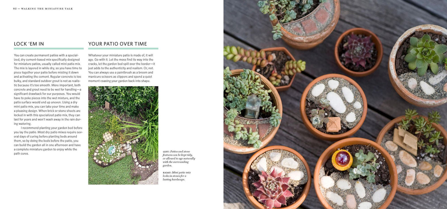 Gardening in Miniature: Create Your Own Tiny Living World