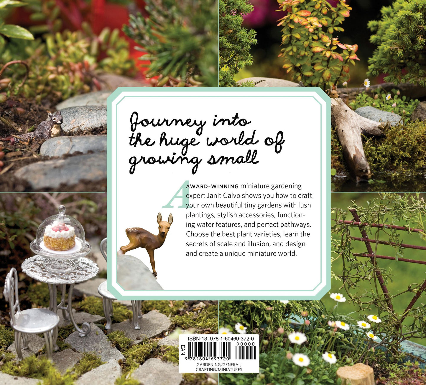 Gardening in Miniature: Create Your Own Tiny Living World