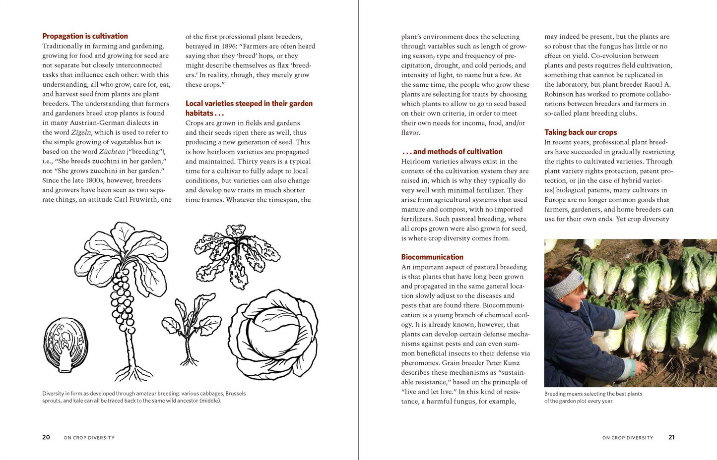 The Manual of Seed Saving: Harvesting, Storing, and Sowing Techniques for Vegetables, Herbs, and Fruits