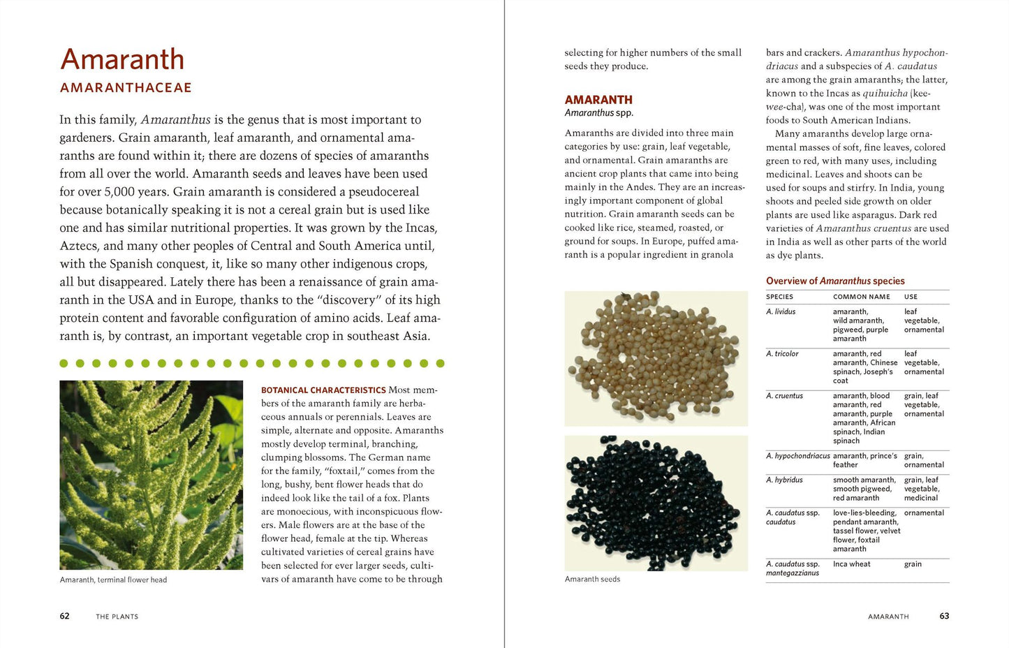 The Manual of Seed Saving: Harvesting, Storing, and Sowing Techniques for Vegetables, Herbs, and Fruits