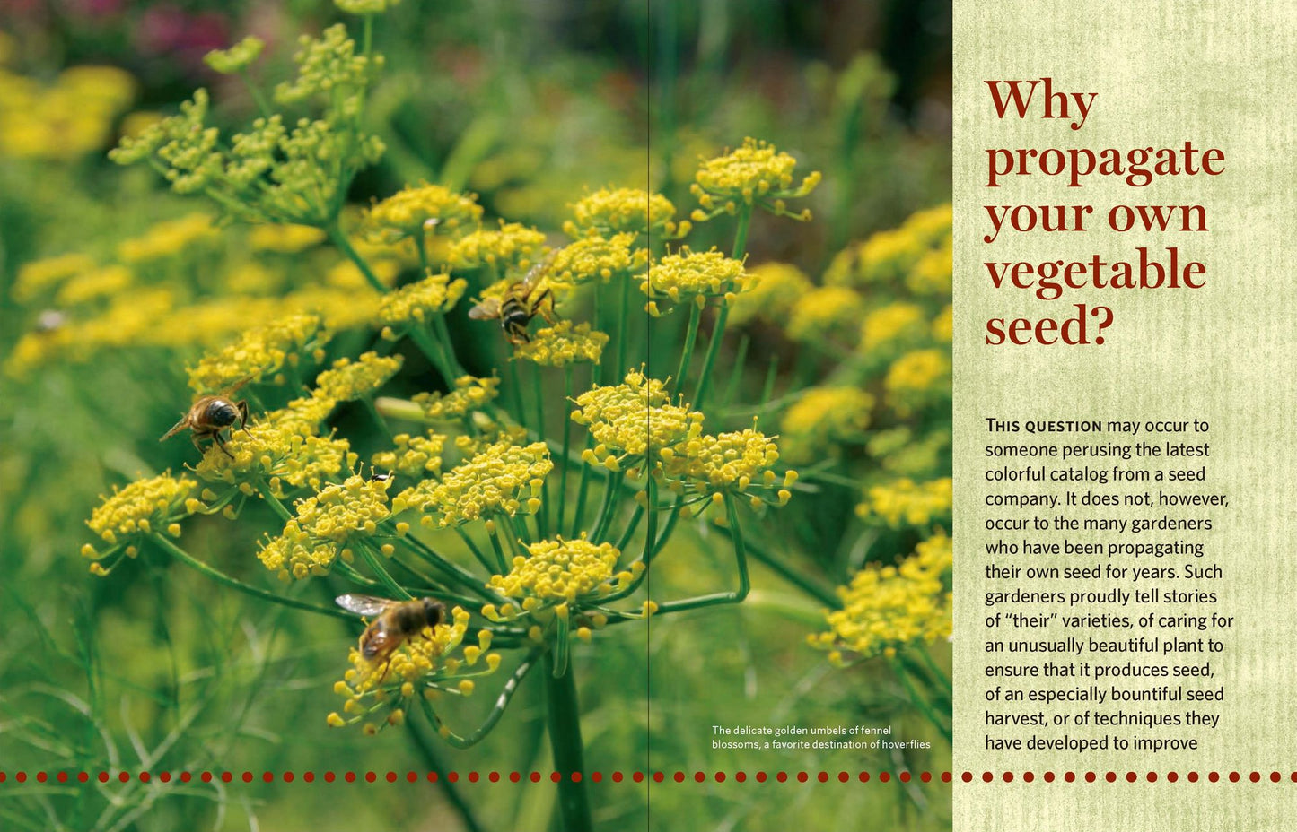 The Manual of Seed Saving: Harvesting, Storing, and Sowing Techniques for Vegetables, Herbs, and Fruits