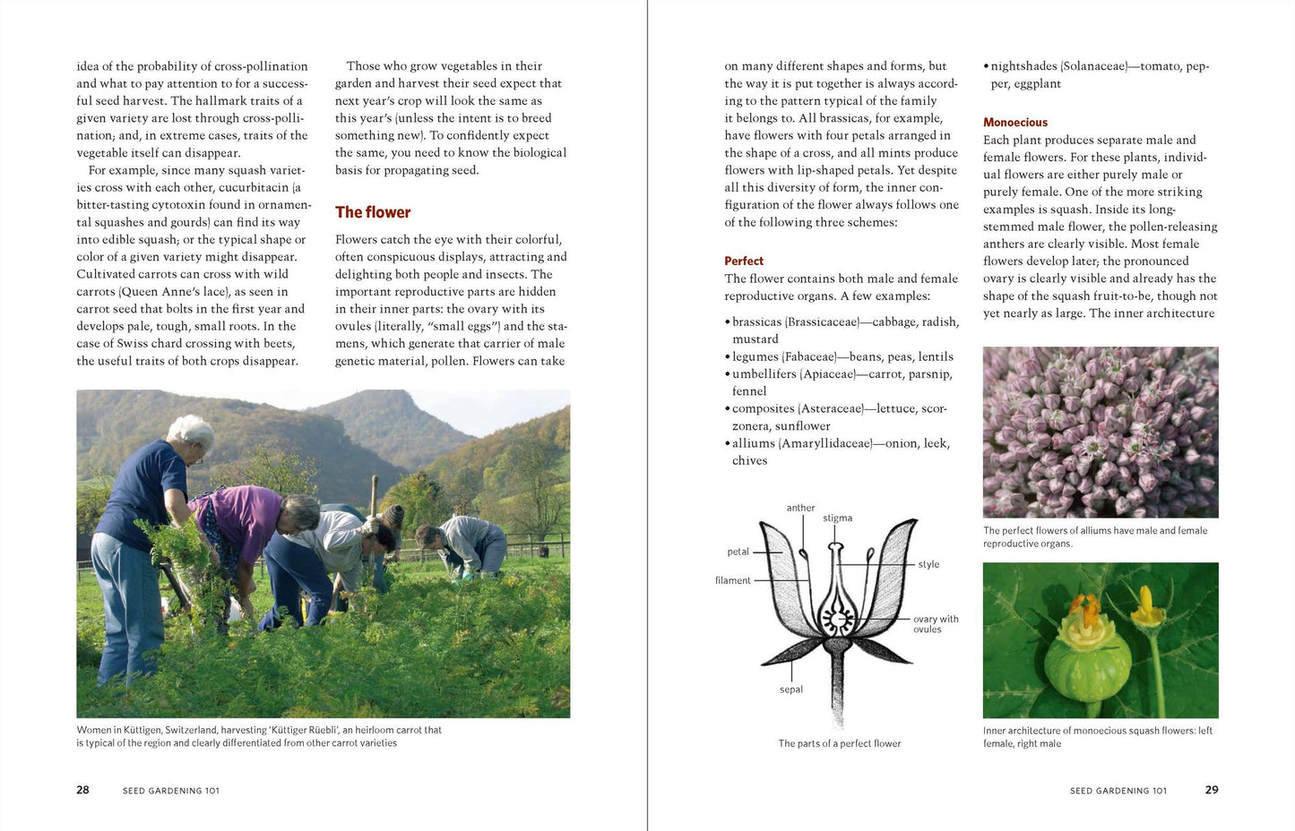 The Manual of Seed Saving: Harvesting, Storing, and Sowing Techniques for Vegetables, Herbs, and Fruits