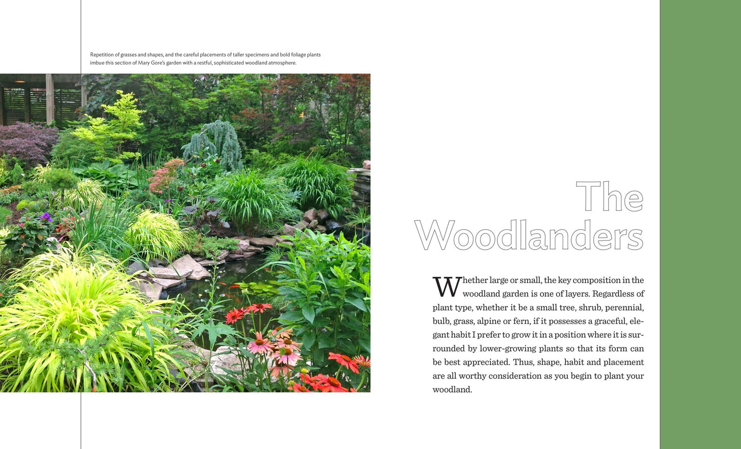 Designing and Planting a Woodland Garden: Plants and Combinations that Thrive in the Shade