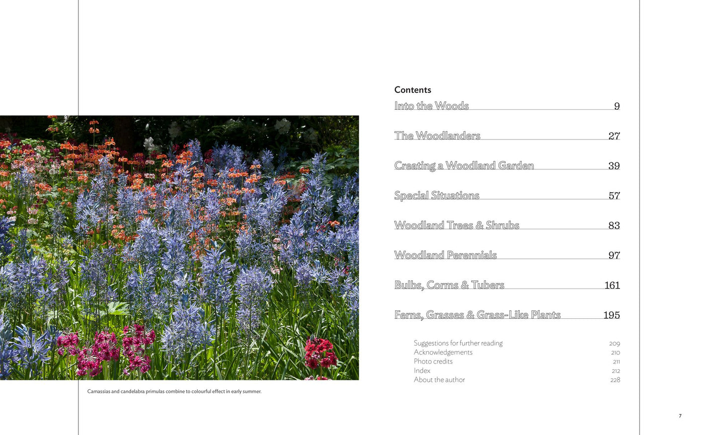 Designing and Planting a Woodland Garden: Plants and Combinations that Thrive in the Shade