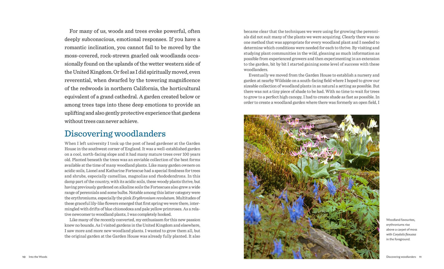 Designing and Planting a Woodland Garden: Plants and Combinations that Thrive in the Shade