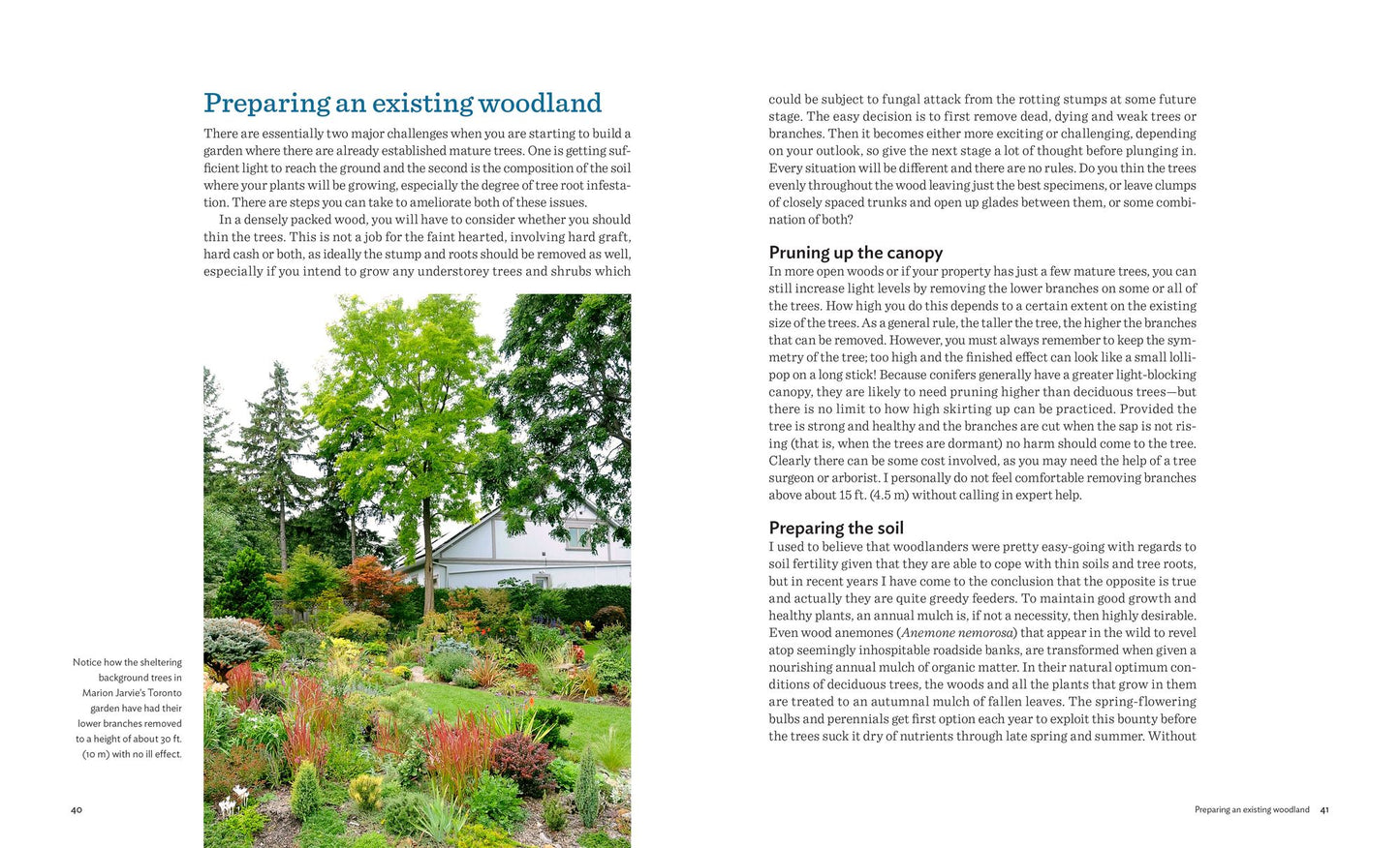 Designing and Planting a Woodland Garden: Plants and Combinations that Thrive in the Shade