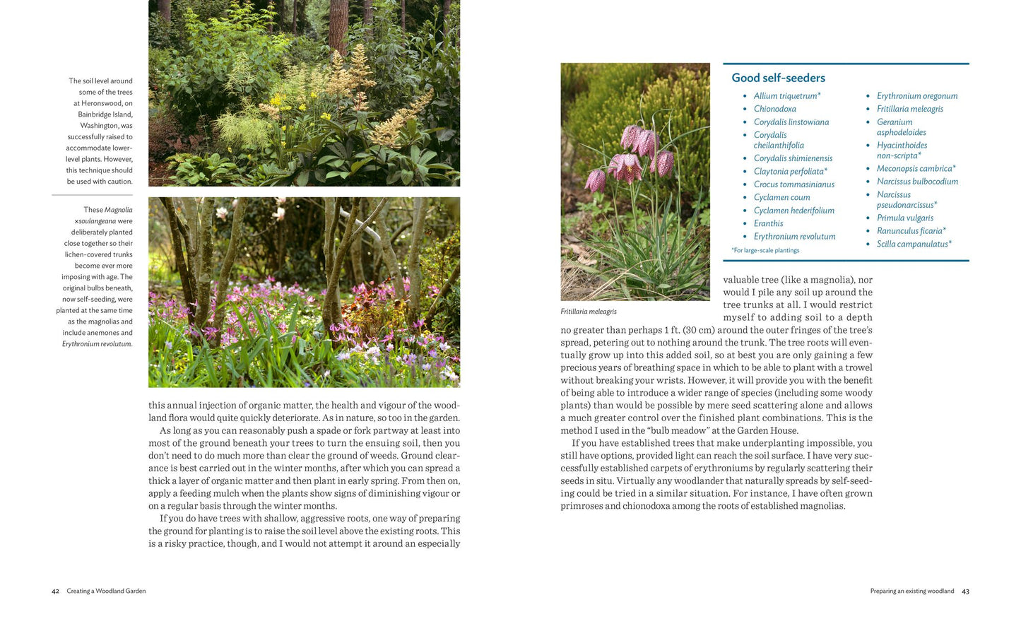 Designing and Planting a Woodland Garden: Plants and Combinations that Thrive in the Shade