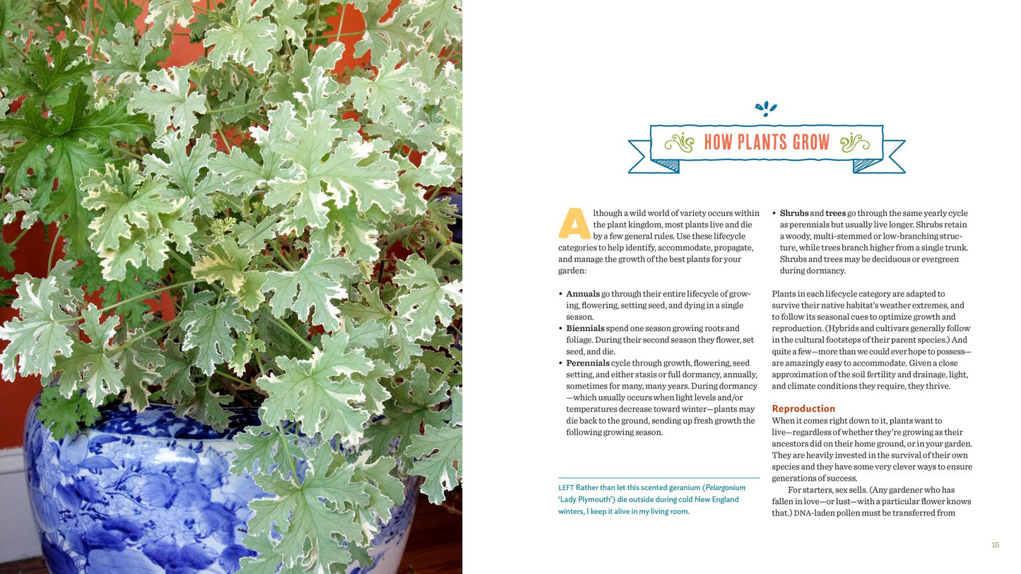 Plantiful: Start Small, Grow Big with 150 Plants That Spread, Self-Sow, and Overwinter