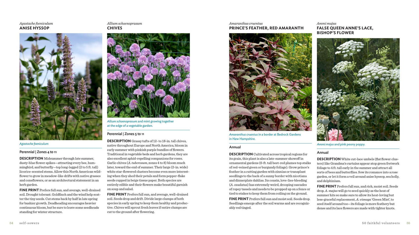 Plantiful: Start Small, Grow Big with 150 Plants That Spread, Self-Sow, and Overwinter
