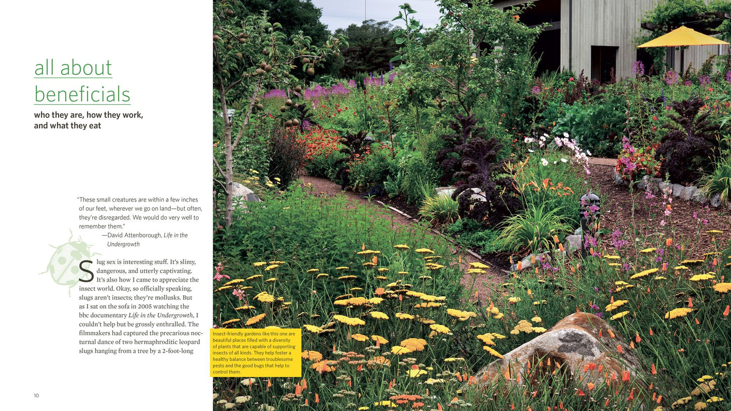 Attracting Beneficial Bugs to Your Garden: A Natural Approach to Pest Control