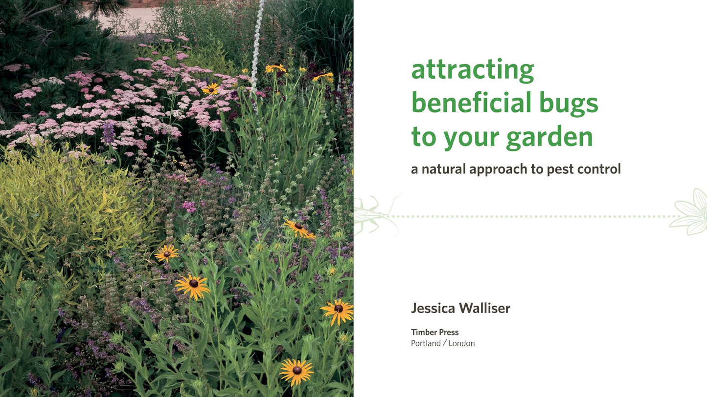 Attracting Beneficial Bugs to Your Garden: A Natural Approach to Pest Control
