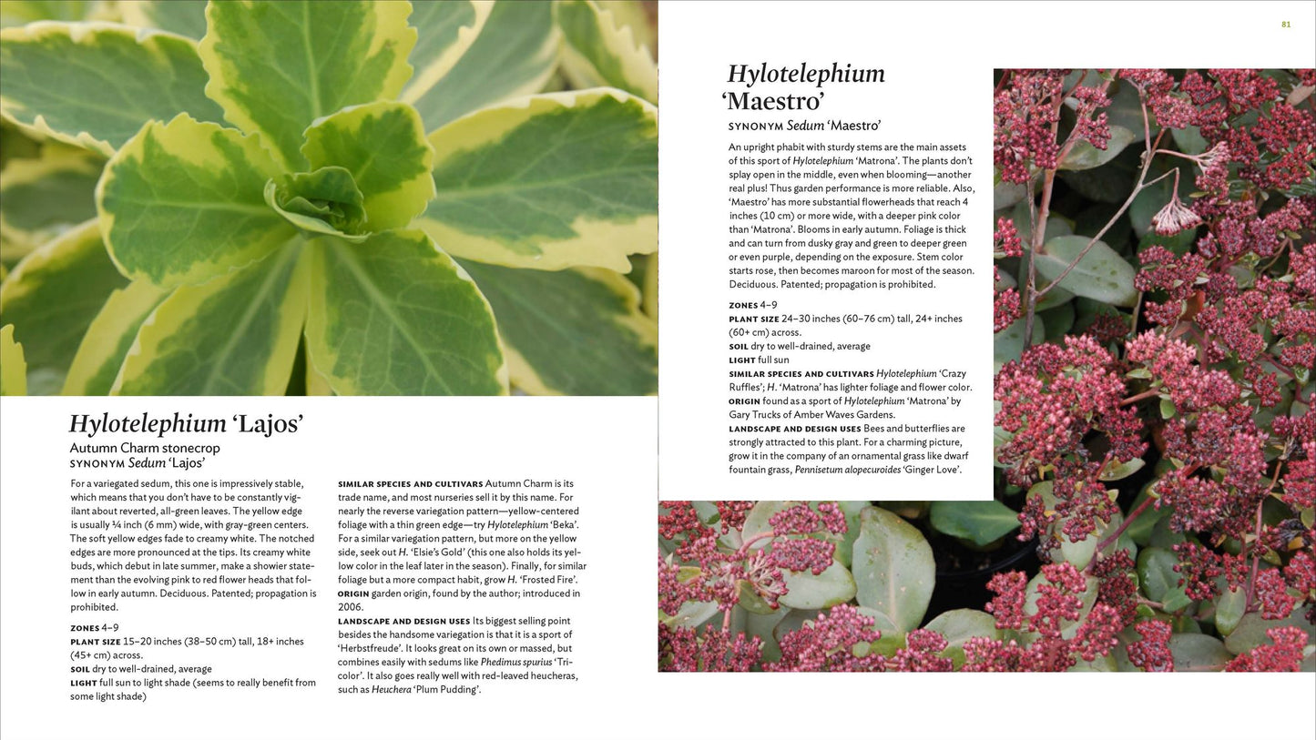 The Plant Lover's Guide to Sedums