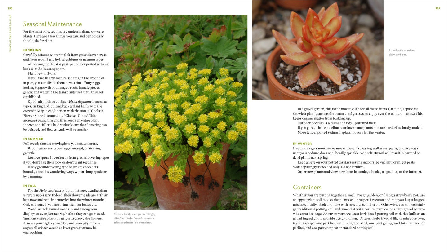 The Plant Lover's Guide to Sedums