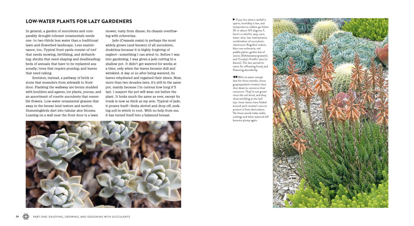 Succulents Simplified: Growing, Designing, and Crafting with 100 Easy-Care Varieties
