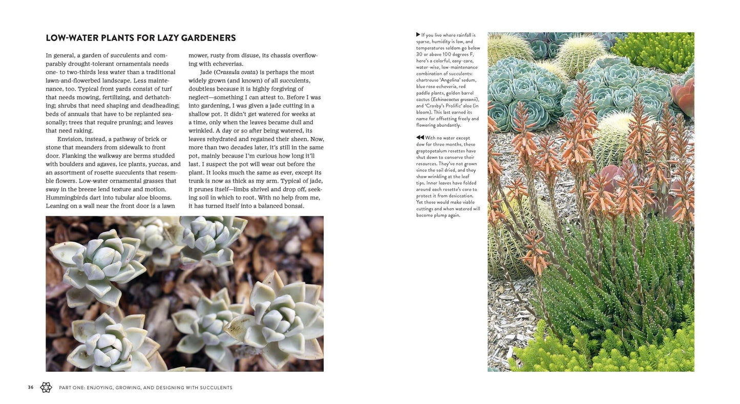 Succulents Simplified: Growing, Designing, and Crafting with 100 Easy-Care Varieties