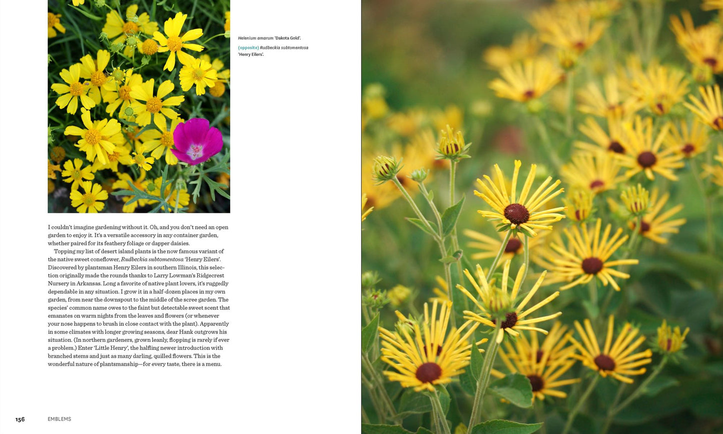 Plants with Style: A Plantsman's Choices for a Vibrant, 21st-Century Garden