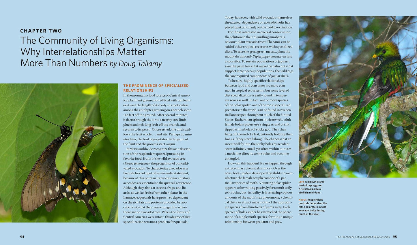 The Living Landscape: Designing for Beauty and Biodiversity in the Home Garden