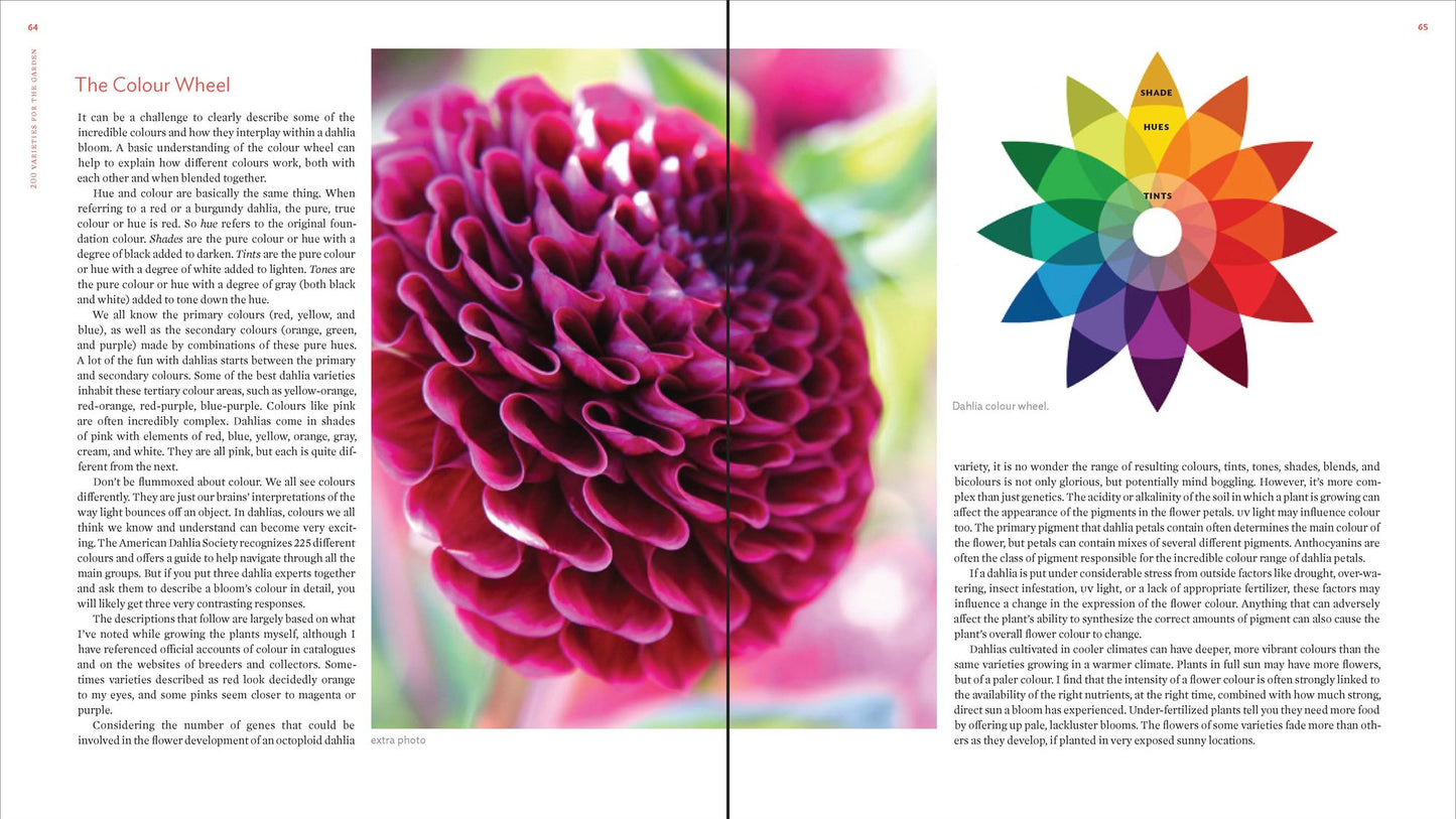 The Plant Lover's Guide to Dahlias