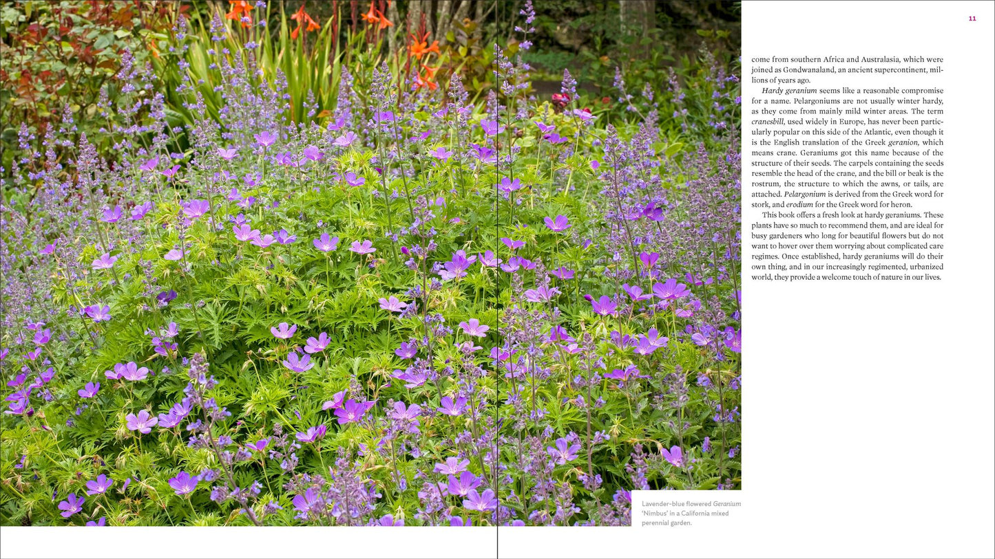 The Plant Lover's Guide to Hardy Geraniums