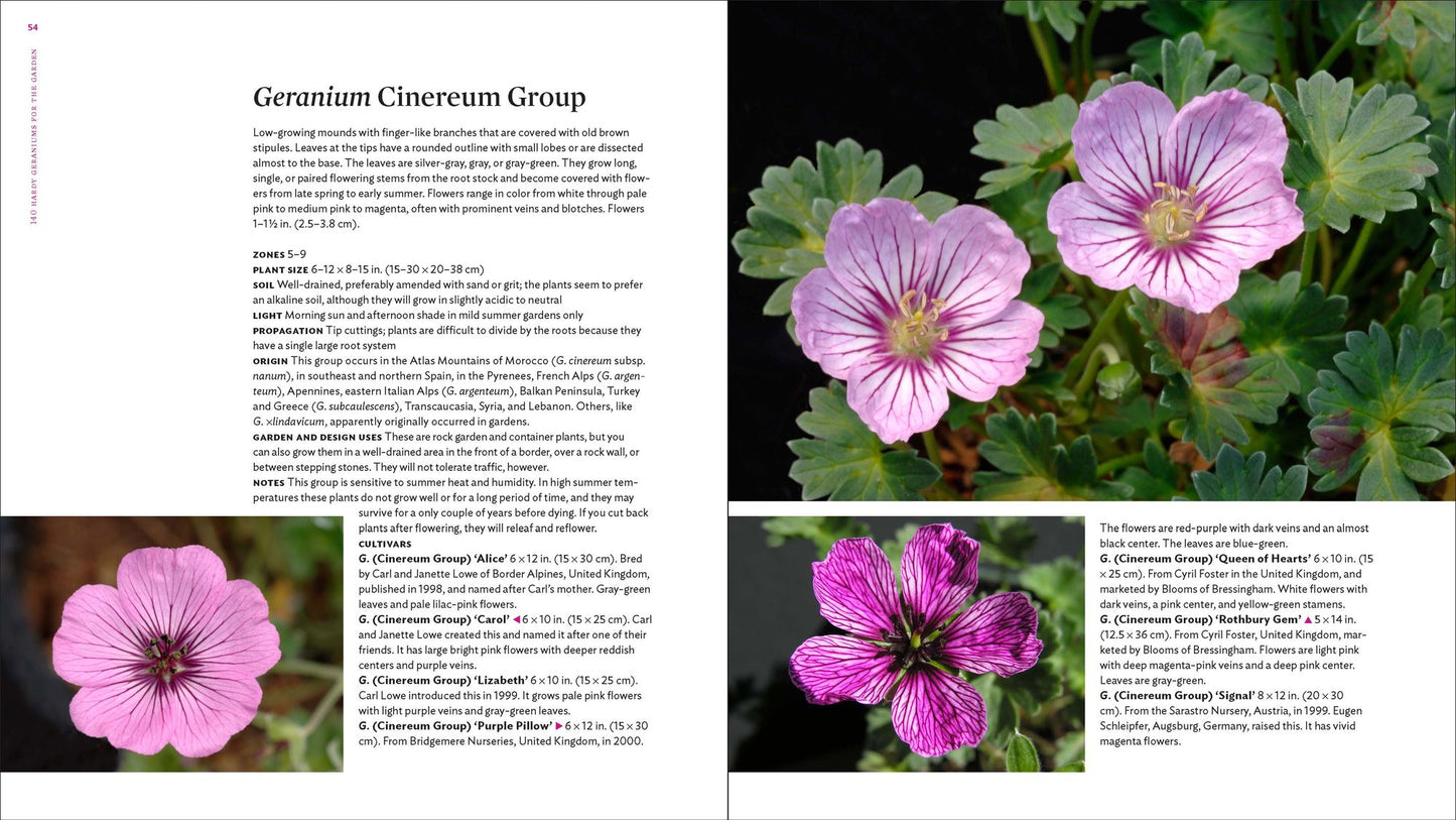 The Plant Lover's Guide to Hardy Geraniums