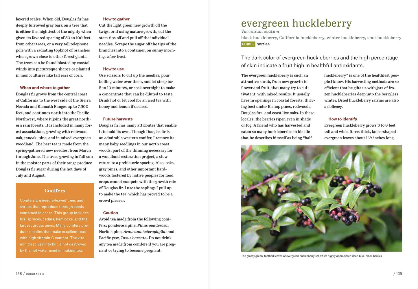 California Foraging: 120 Wild and Flavorful Edibles from Evergreen Huckleberries to Wild Ginger