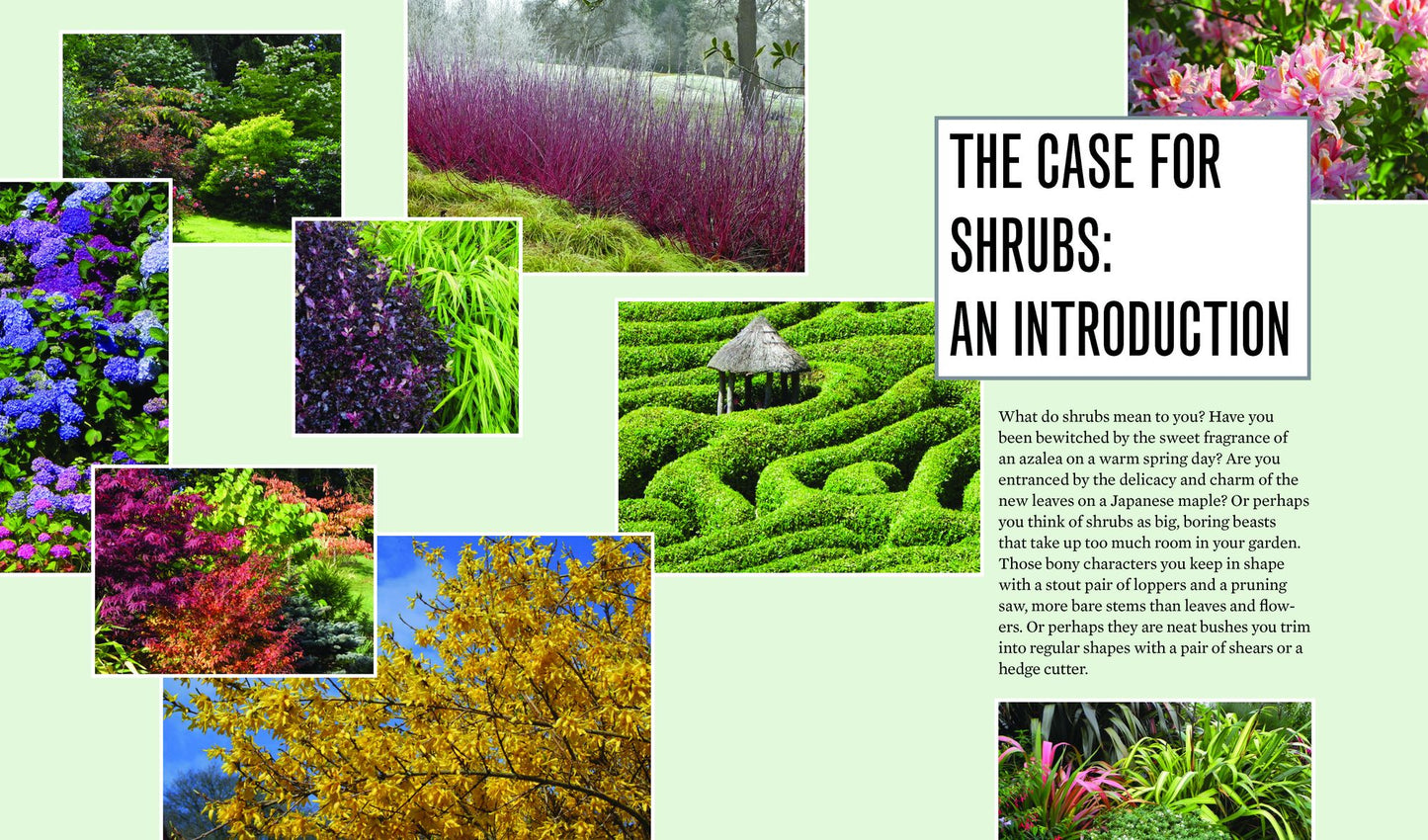 The Creative Shrub Garden: Eye-Catching Combinations for Year-Round Interest