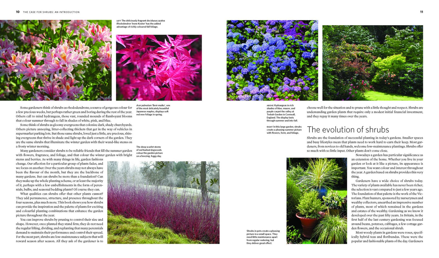The Creative Shrub Garden: Eye-Catching Combinations for Year-Round Interest